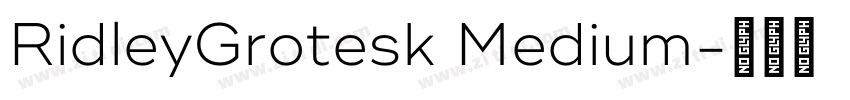 RidleyGrotesk Medium字体转换